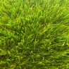 CÉSPED ARTIFICIAL 40MM SUMERGRASS