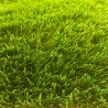 CÉSPED ARTIFICIAL 40MM SUMERGRASS